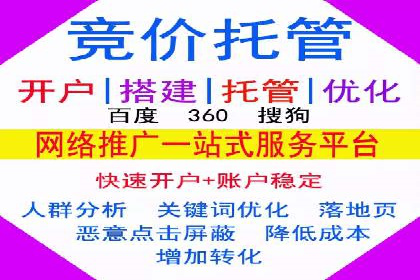 案例分析：百度竞价托管助力行业龙头